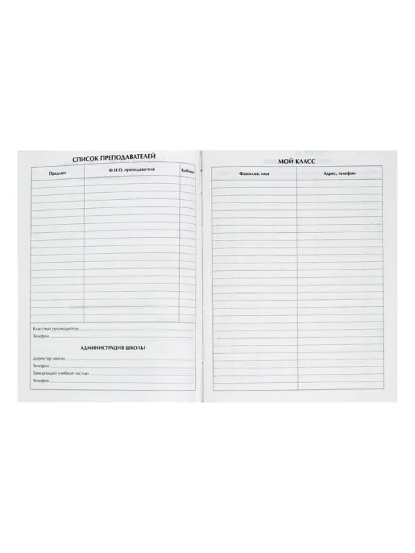 Дневник школьный для 1-11 классов, &laquo;Авокадо с косточкой ПАТТЕРН&raquo;, твёрдая обложка 7БЦ, глянцевая ламинация, 40 листов