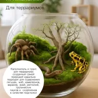 Мох сфагнум для террариумов &laquo;Рецепты дедушки Никиты&raquo; 2 л