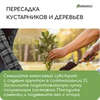 Субстрат кокосовый, универсальный, для террариумов и растений, в брикете, 25 л, Greengo