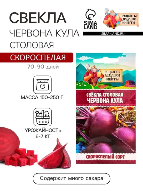 Семена Свекла столовая  Семена Свекла столовая "Червона Кула", 2 г