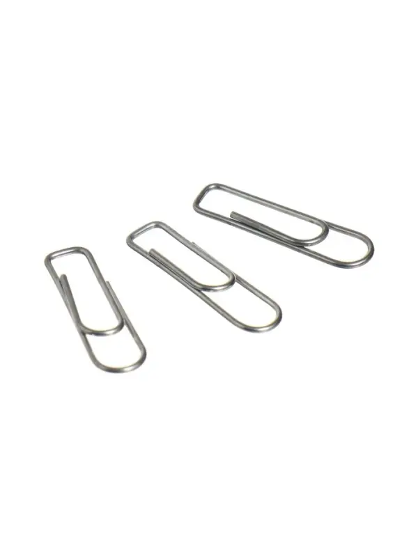 Скрепки канцелярские GLOBUS, 22 мм, 100 шт., без покрытия