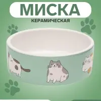 Миска &laquo;Котяры&raquo;, 300 мл, 12.5&times;12.5&times;4.5 см, керамика, зелёная, белая