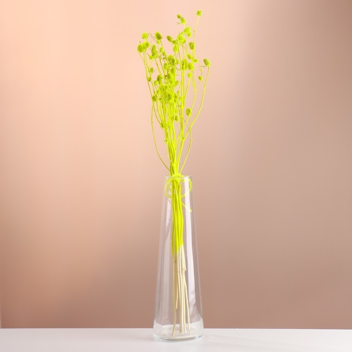 Набор сухоцветов Набор сухоцветов "Эрингиум", банч 5 шт, длина 55 (+/- 6 см), ярко-желтый