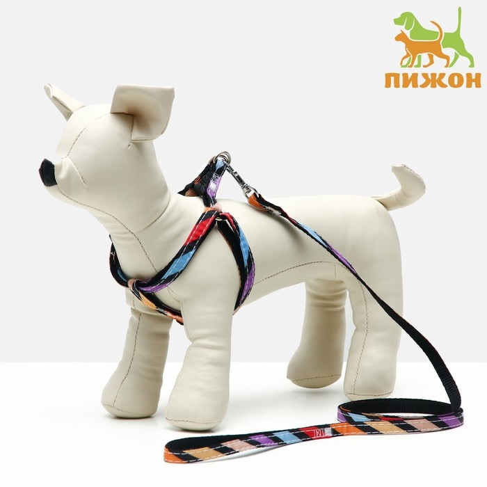 Комплект амуниции двухслойный, S, поводок 120х1 см,ОШ 24-38 ОГ 29-41 см, разноцветные полосы 96837 Комплект амуниции двухслойный, S, поводок 120х1 см,ОШ 24-38 ОГ 29-41 см, разноцветные полосы 96837