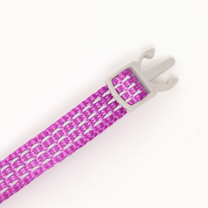 Ошейник кошачий светоотражающий, 19-32 х 1 см, фиолетовый Ошейник кошачий светоотражающий, 19-32 х 1 см, фиолетовый