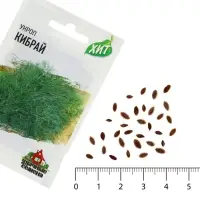 Семена Укроп &laquo;Кибрай&raquo;, 2 г, &laquo;Гавриш&raquo;