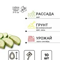 Семена Кабачок &laquo;Гордость Урала&raquo; цукини, 10 шт.