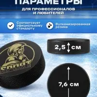 Шайба хоккейная Winter Star, взрослая, d=7.6 см
