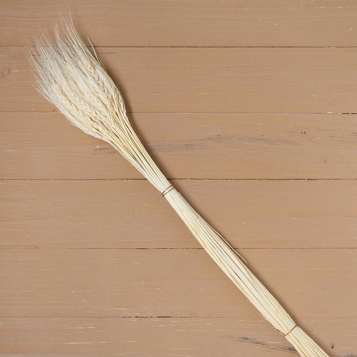 Сухой колос пшеницы, набор 50 шт., цвет белый Сухой колос пшеницы, набор 50 шт., цвет белый