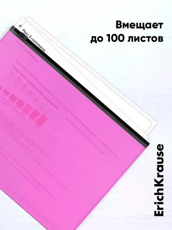 Папка-конверт на ZIP-молнии А4, 140 мкм, ErichKrause Fizzy Vivid, до 100 листов, микс
