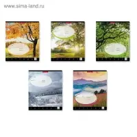 Тетрадь 24 листа в клетку, ErichKrause &laquo;Родные просторы&raquo;, обложка мелованный картон, МИКС