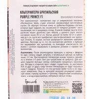 Семена цветов Альтернатера Purple Prince F1 бразильская  3шт. 12.29 г.