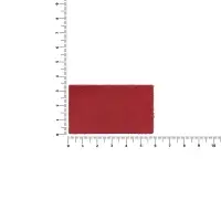 Лейбл кожаный Pasek, M, красный