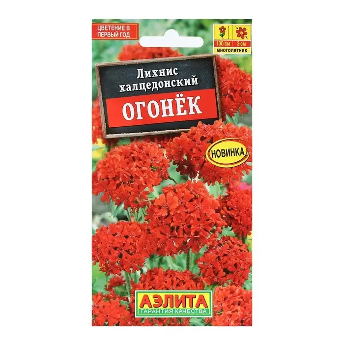 Семена Цветов Лихнис Семена Цветов Лихнис "Огонек", 0,1 г