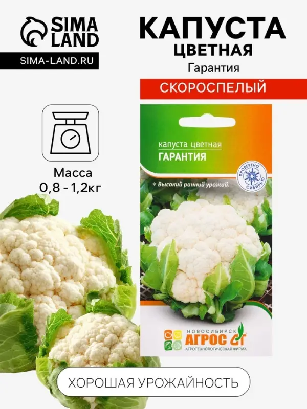 Семена Капуста цветная &laquo;Гарантия&raquo; 0.3 г, &laquo;Агросс&raquo;