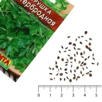 Семена Петрушка "Бутербродная" листовая  "Лидер", 2 г    ,