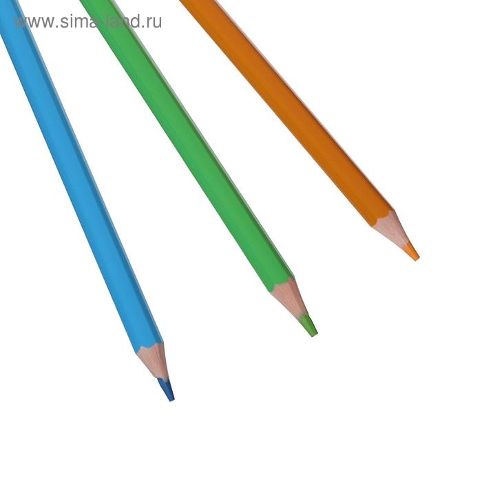 Цветные карандаши 24 цвета ZOO, пластиковые, шестигранные Цветные карандаши 24 цвета ZOO, пластиковые, шестигранные