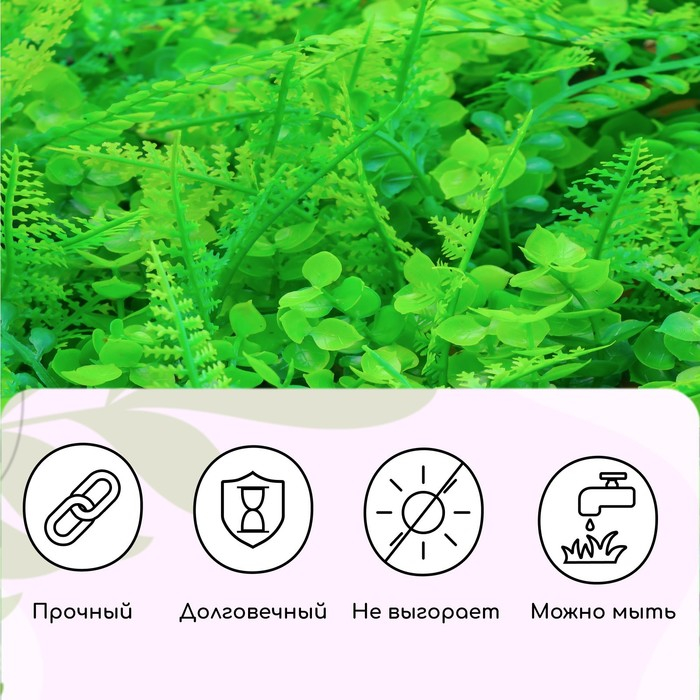 Декоративная панель, 60 × 40 см, «Самшит, Папоротник», Greengo Декоративная панель, 60 × 40 см, «Самшит, Папоротник», Greengo