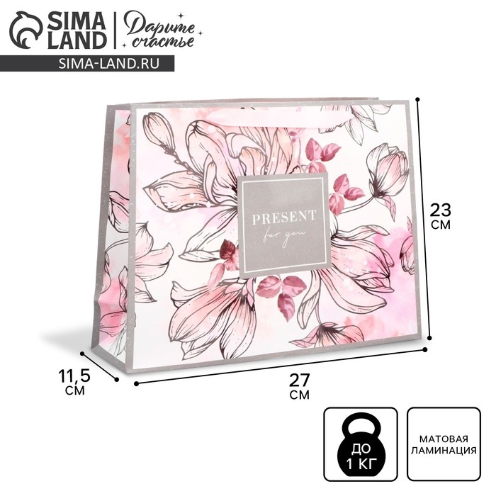 Пакет подарочный ламинированный горизонтальный, упаковка, &laquo;Present for you&raquo;, ML 27 х 23 х 11,5 см