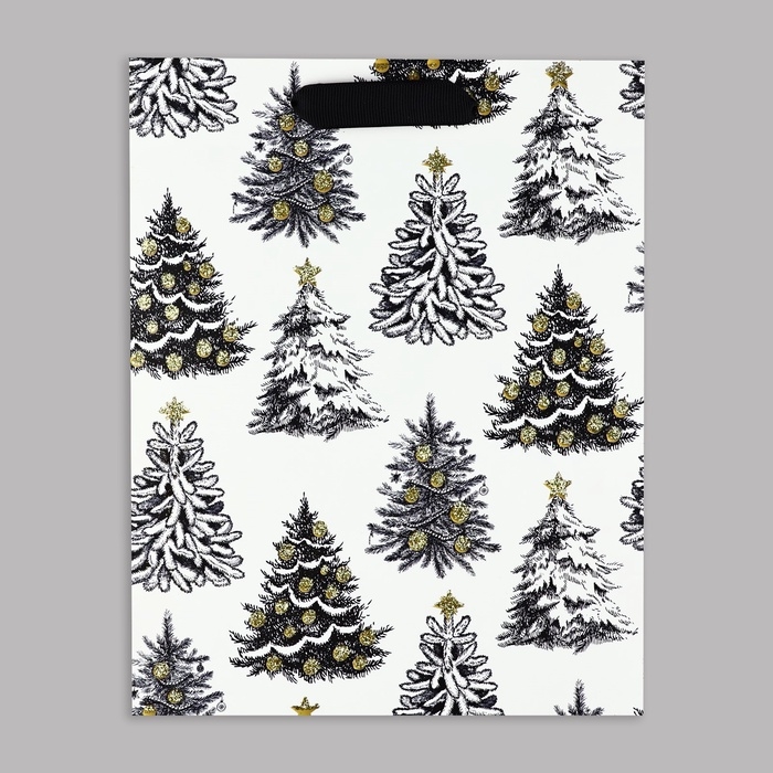 Пакет подарочный новогодний ламинированный «Зимняя сказка», MS 23 x 18 х 10 см Пакет подарочный новогодний ламинированный «Зимняя сказка», MS 23 x 18 х 10 см