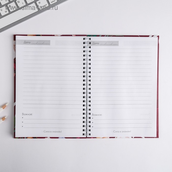 Ежедневник на гребне «Учителю: С Днем учителя», формат А5, 60 листов Ежедневник на гребне «Учителю: С Днем учителя», формат А5, 60 листов