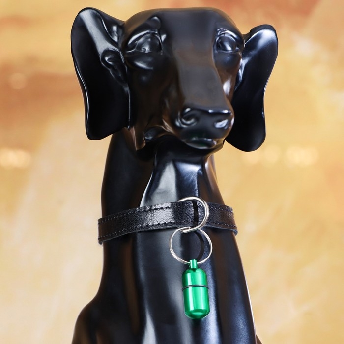 Адресник - капсула под записку, 2,2 х 1,3 см, зелёный Адресник - капсула под записку, 2,2 х 1,3 см, зелёный