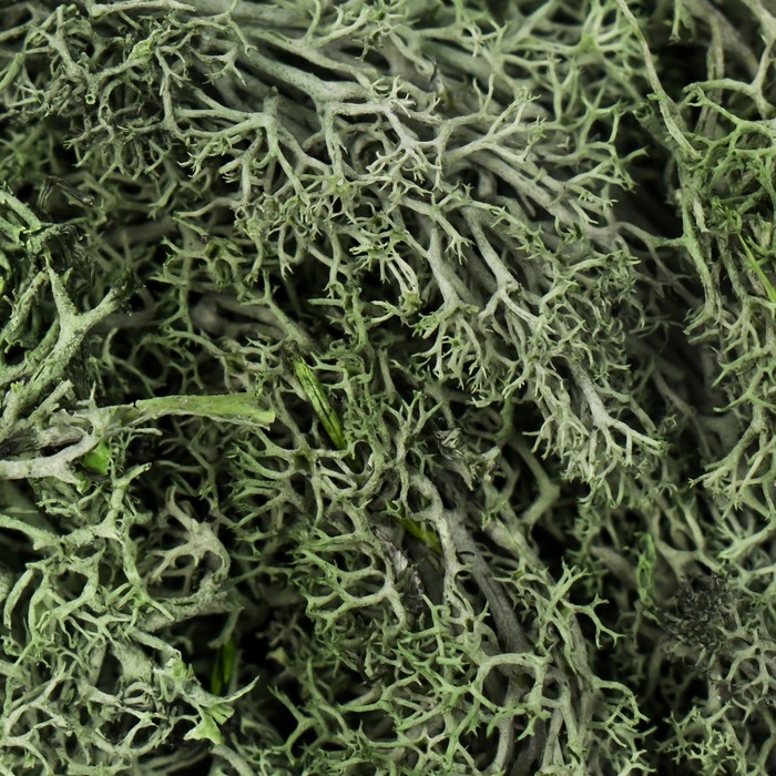 Мох искусственный Мох искусственный "Хаки" 10 гр