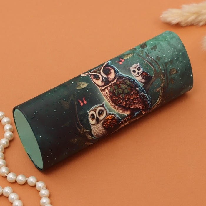 Очечник Очечник "Изумрудная сова", 17х7 см