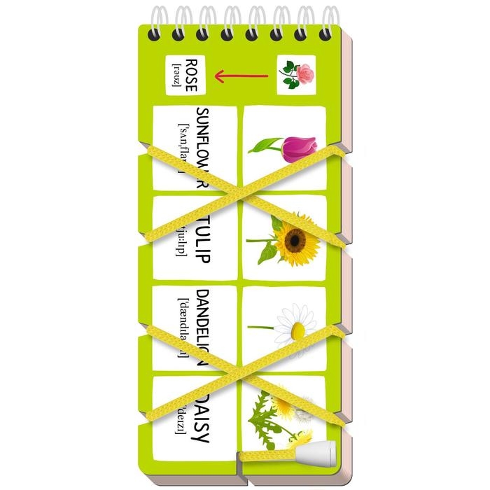 Игры со шнурком. English. Растения (Plants) Игры со шнурком. English. Растения (Plants)