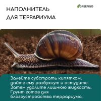 Субстрат кокосовый в таблетках, 4,5 л, d = 10 см, набор 5 шт., без оболочки, Greengo