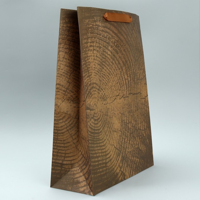 Пакет подарочный крафтовый вертикальный, упаковка, «Нереальных высот», L 31 х 40 х 9 см Пакет подарочный крафтовый вертикальный, упаковка, «Нереальных высот», L 31 х 40 х 9 см