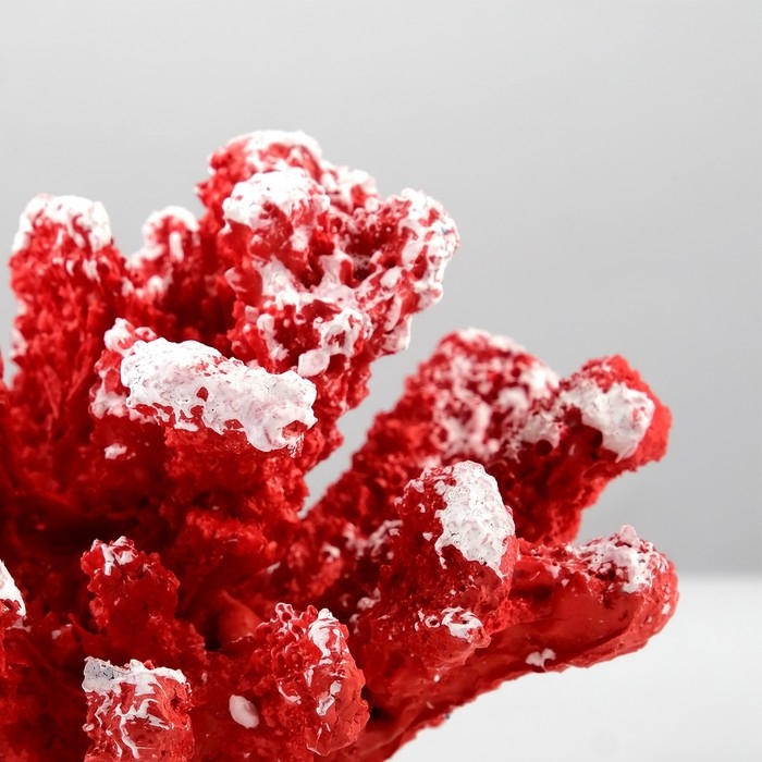 Интерьерный сувенир  Интерьерный сувенир "Коралл" 13х11х8см микс