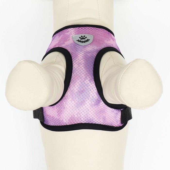 Комплект для собак 3-5 кг, размер S, поводок 120 х 1,5 см, ОШ 24 см, ОГ 34 см Комплект для собак 3-5 кг, размер S, поводок 120 х 1,5 см, ОШ 24 см, ОГ 34 см