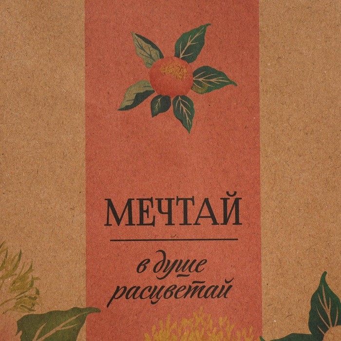 Пакет подарочный крафтовый, упаковка, «Мечтай», ML 23 х 27 х 11.5 см