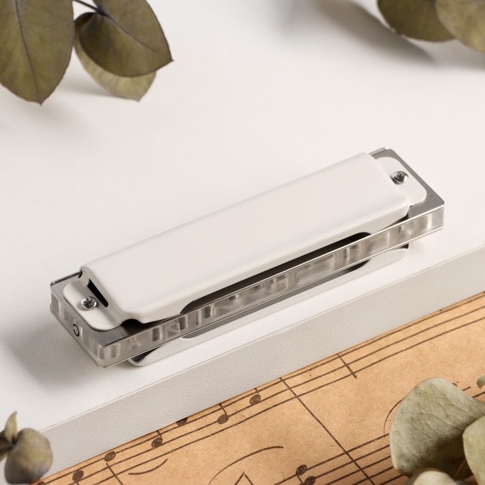 Губная гармошка Music Life T008L  C диатоническая, 10 отверстий, с футляром Губная гармошка Music Life T008L  C диатоническая, 10 отверстий, с футляром