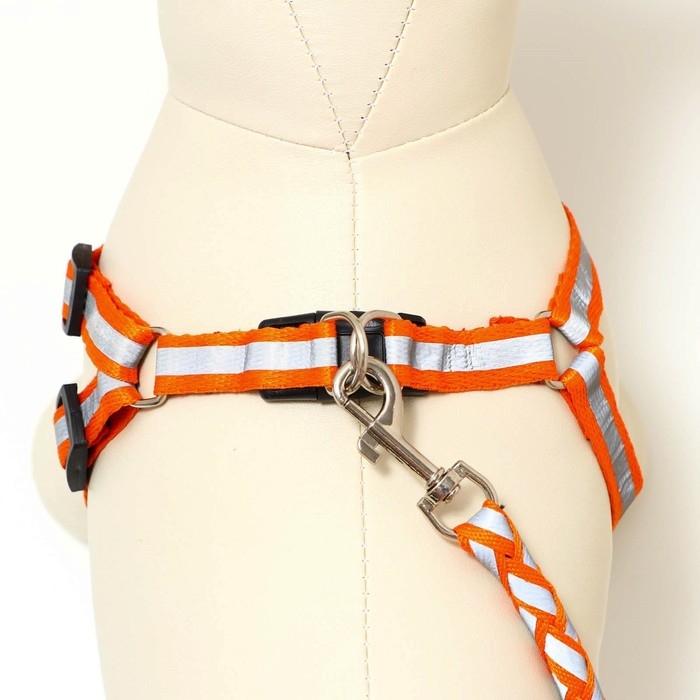 Комплект  Комплект "Плетенка", флуоресцентный, поводок 115 х 1 см, ОГ 32-48 х 1,5 см, оранжевый