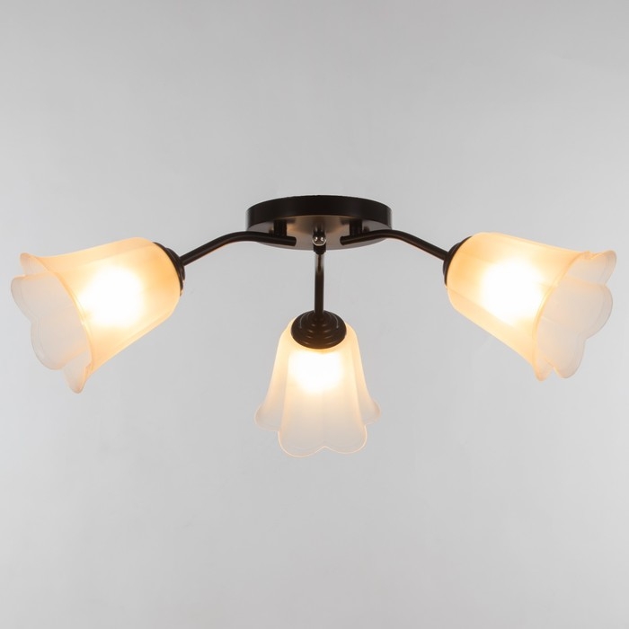 Люстра Люстра "Онлайн" (цветок) 3х15Вт Е27 МОДЕЛЬ: BR 00235 черный/прозрачный