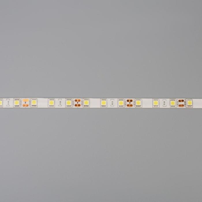 Cветодиодная лента Ecola PRO 5 м, IP65, SMD5050, 60 LED/м, 14.4 Вт/м, 12 В, 6000К Cветодиодная лента Ecola PRO 5 м, IP65, SMD5050, 60 LED/м, 14.4 Вт/м, 12 В, 6000К