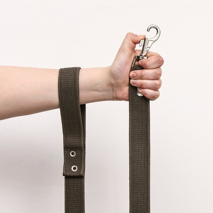 Поводок брезентовый, 2,7 м х 3 см Поводок брезентовый, 2,7 м х 3 см