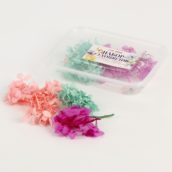 Набор сухоцветов «Гортензия» Набор сухоцветов «Гортензия»