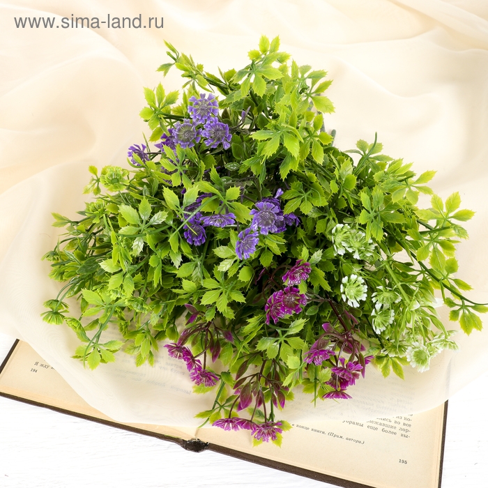 Букет Букет "Алиссум с остролистом" 29 см, микс