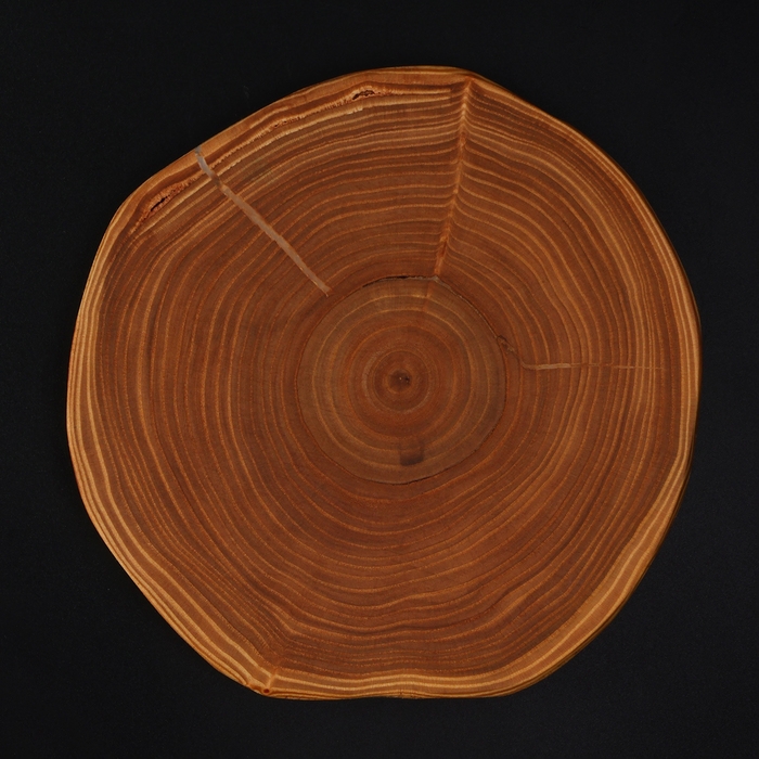 Доска разделочная из спила Wild Kitchen, d=160-200 мм, толщина 30 мм, цельный массив кедра Доска разделочная из спила Wild Kitchen, d=160-200 мм, толщина 30 мм, цельный массив кедра