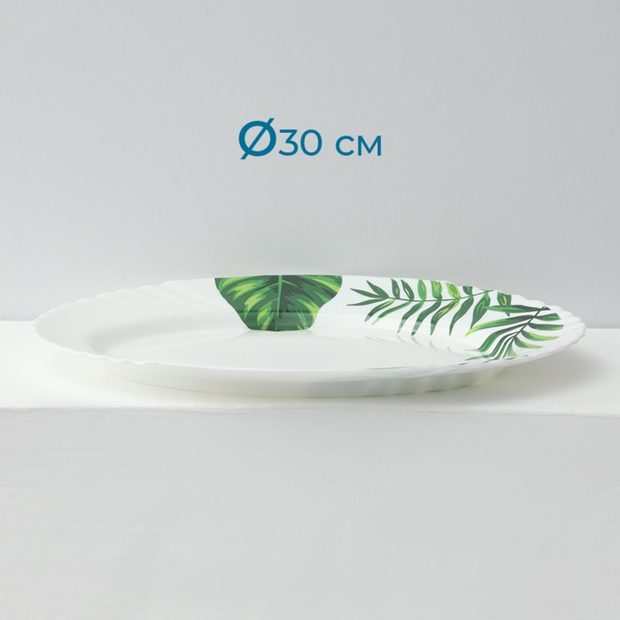 Сервиз столовый «Лист папоротника», 37 предметов, стеклокерамика Сервиз столовый «Лист папоротника», 37 предметов, стеклокерамика