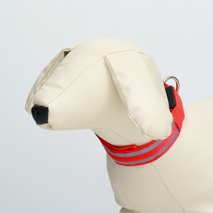 Ошейник с подсветкой Двойная полоса размер S, ОШ 35-43 х 2,5 см, 3 режима свечения красный 977224