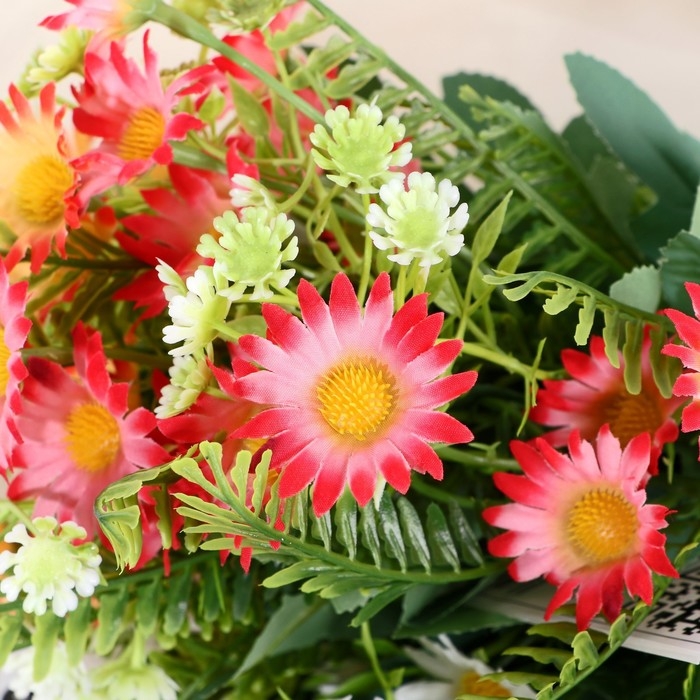 Букет Букет "Пупавка полевая" 30 см, микс