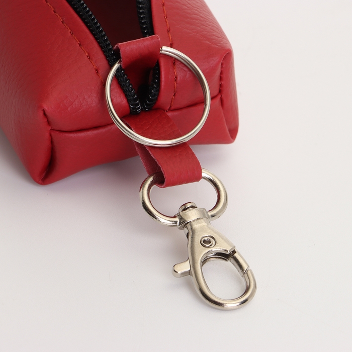Ключница на молнии, длина 16 см, кольцо, карабин, цвет красный Ключница на молнии, длина 16 см, кольцо, карабин, цвет красный