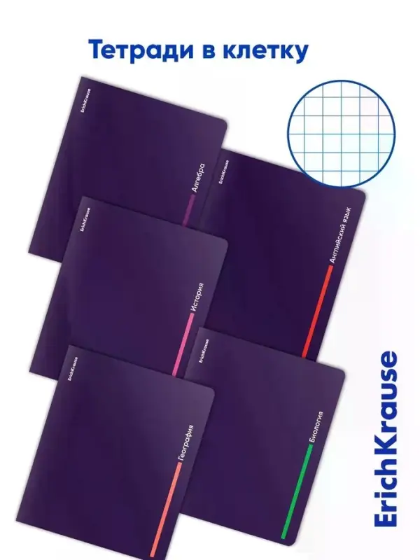 Набор предметных тетрадей ErichKrause Indigo, 12 предметов, 48 листов, с пластиковой обложкой