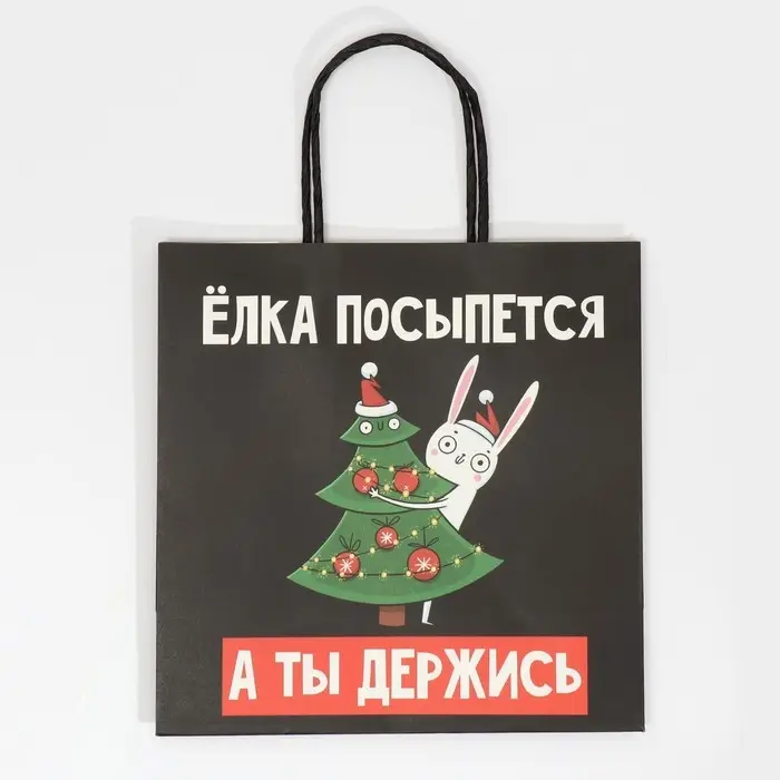 Пакет подарочный новогодний «А ты держись», 22 х 22 х 11 см Пакет подарочный новогодний «А ты держись», 22 х 22 х 11 см