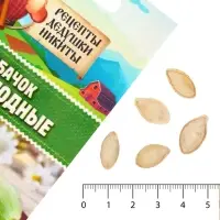 Семена Кабачок "Белоплодные", 1 г Семена Кабачок "Белоплодные", 1 г