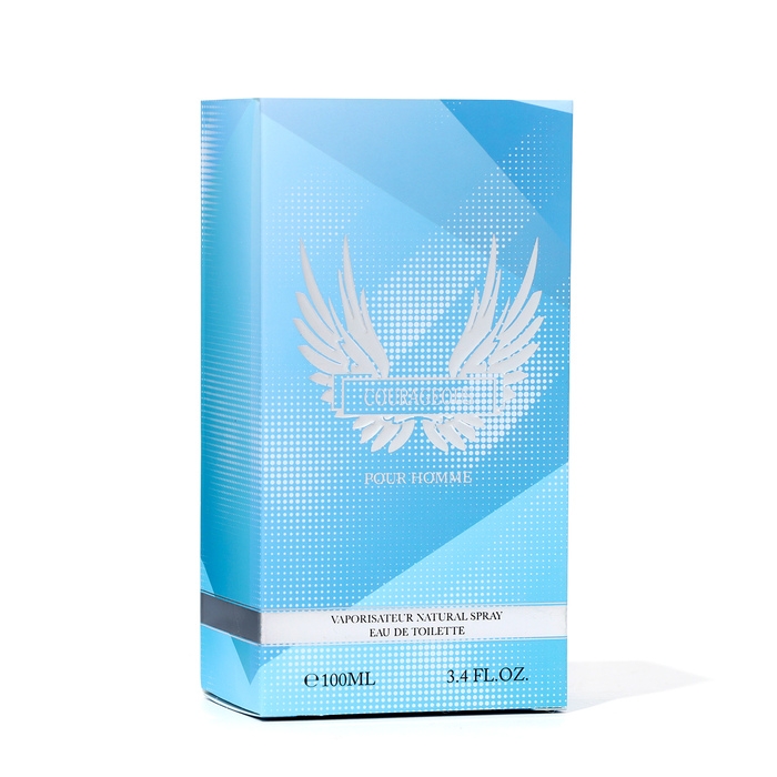 Туалетная вода мужская Courageous, 100 мл Туалетная вода мужская Courageous, 100 мл